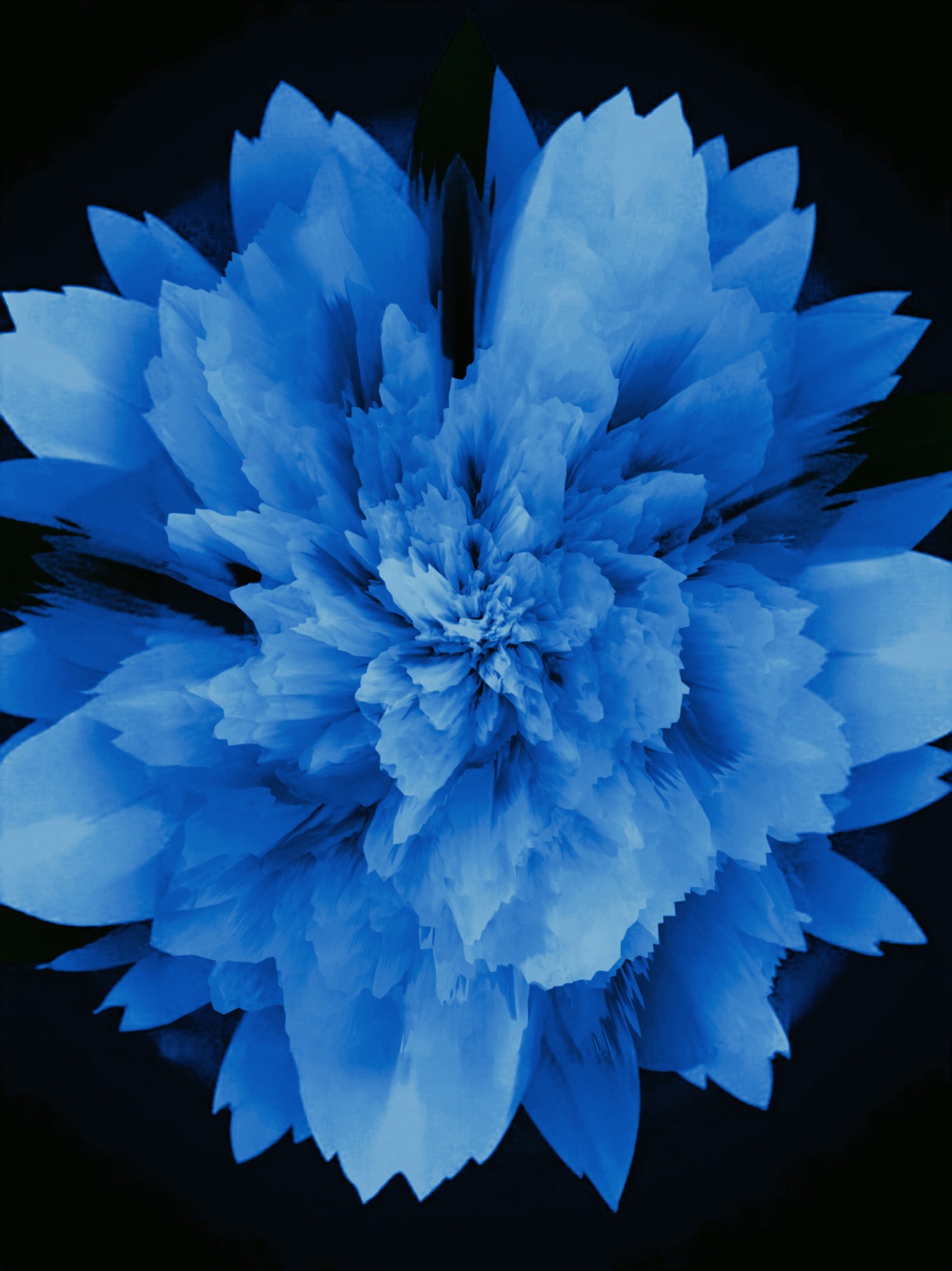 Flowers, Memory and the Subconscious · 2.01