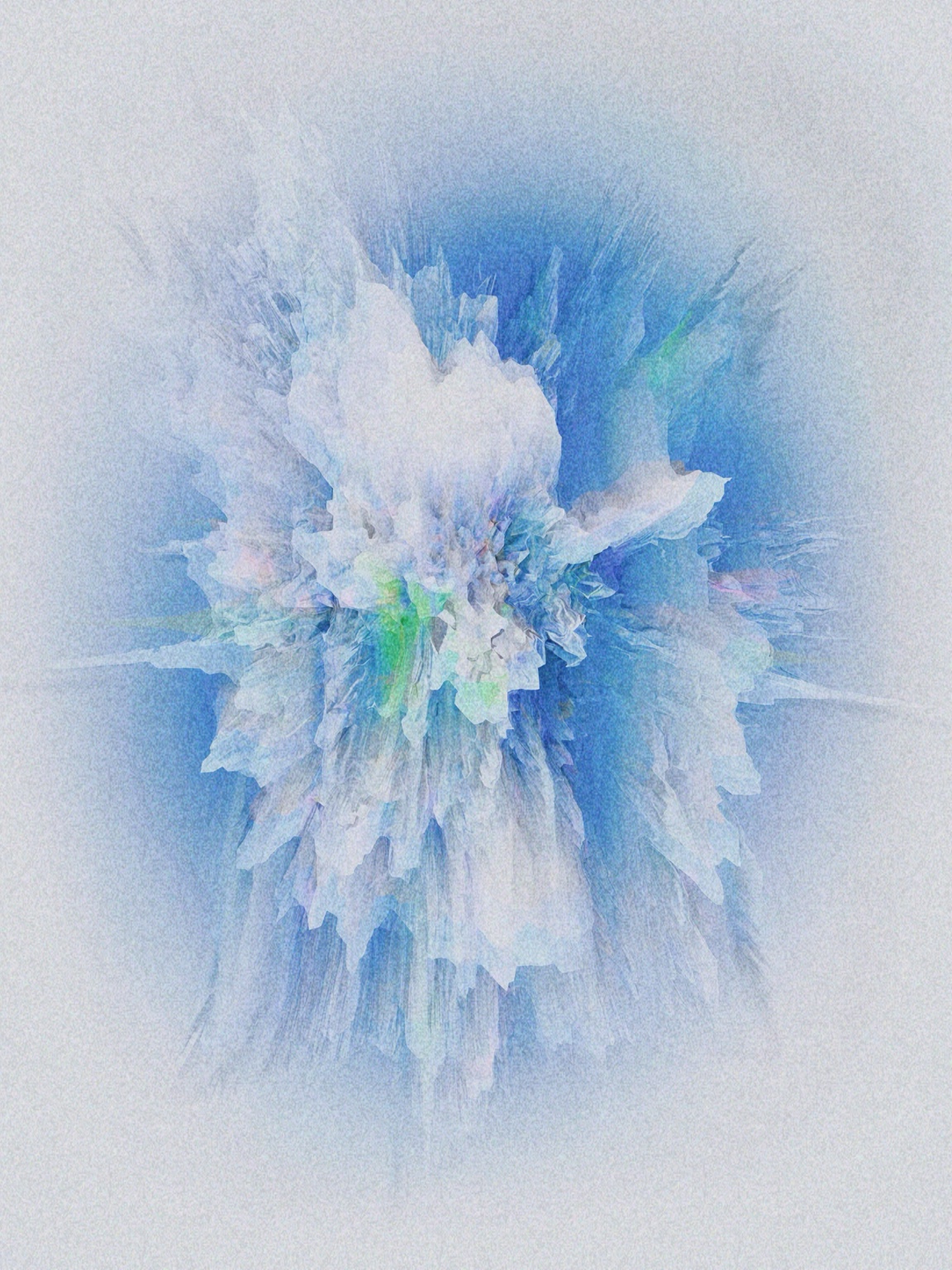 Afterimage / Bloom II, digital artwork