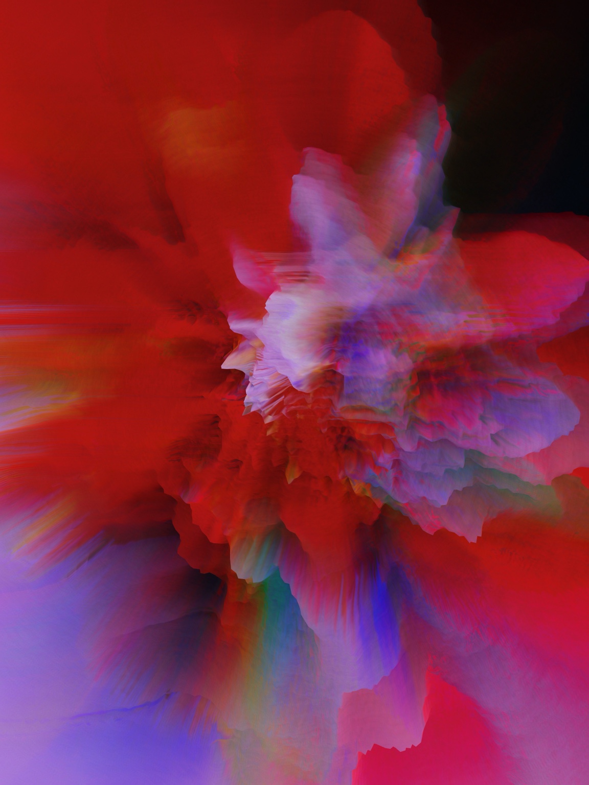 Afterimage / Bloom XV, red and violet bloom