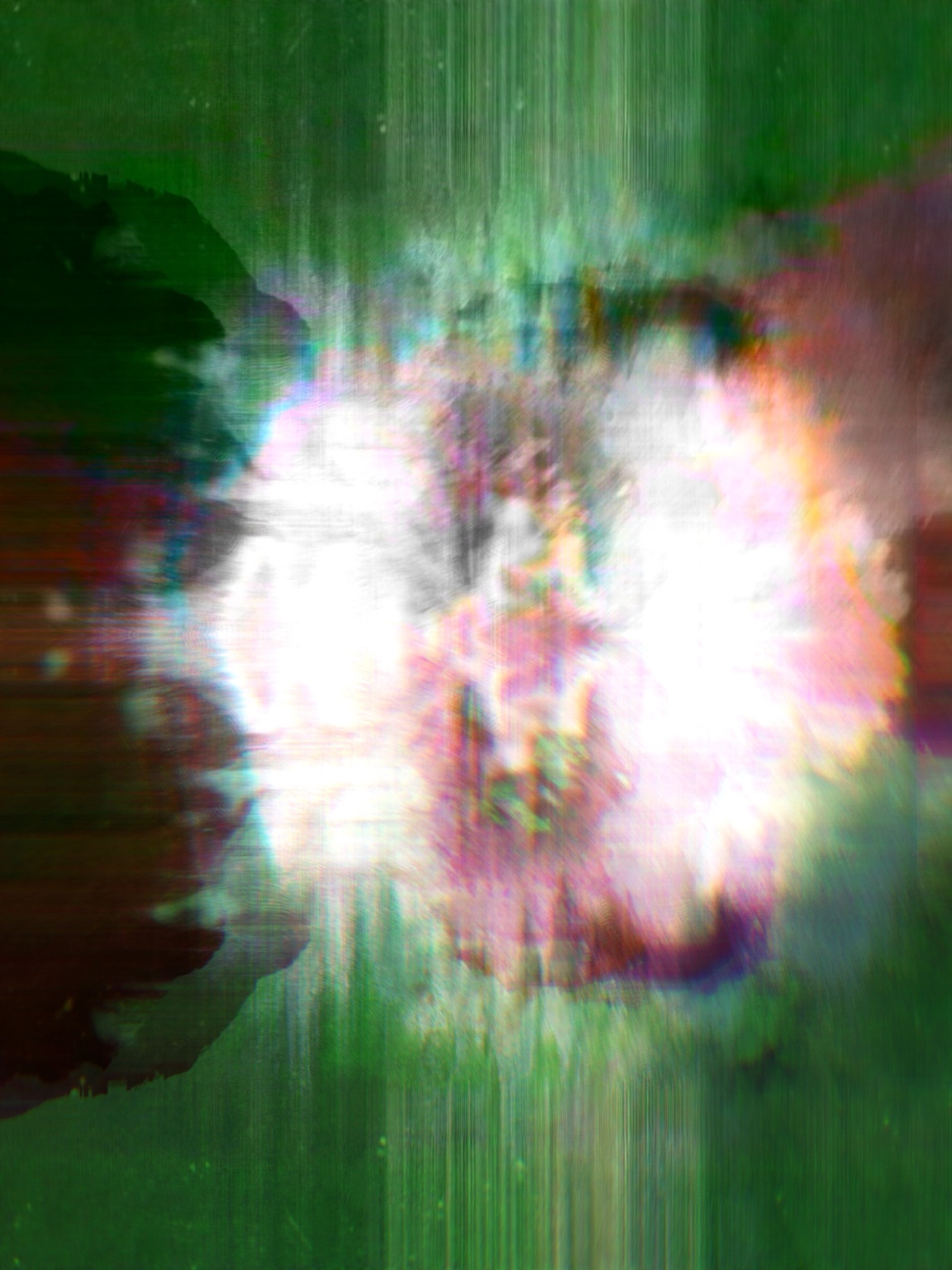Afterimage / Bloom XXVIII, digital artwork