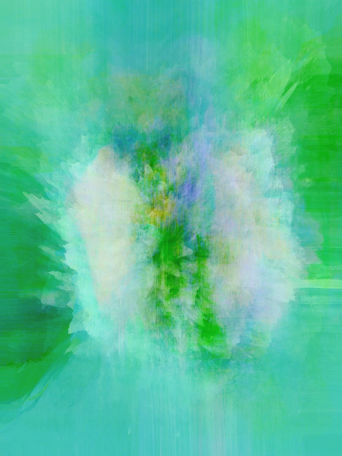 Afterimage / Bloom XXIX, digital artwork