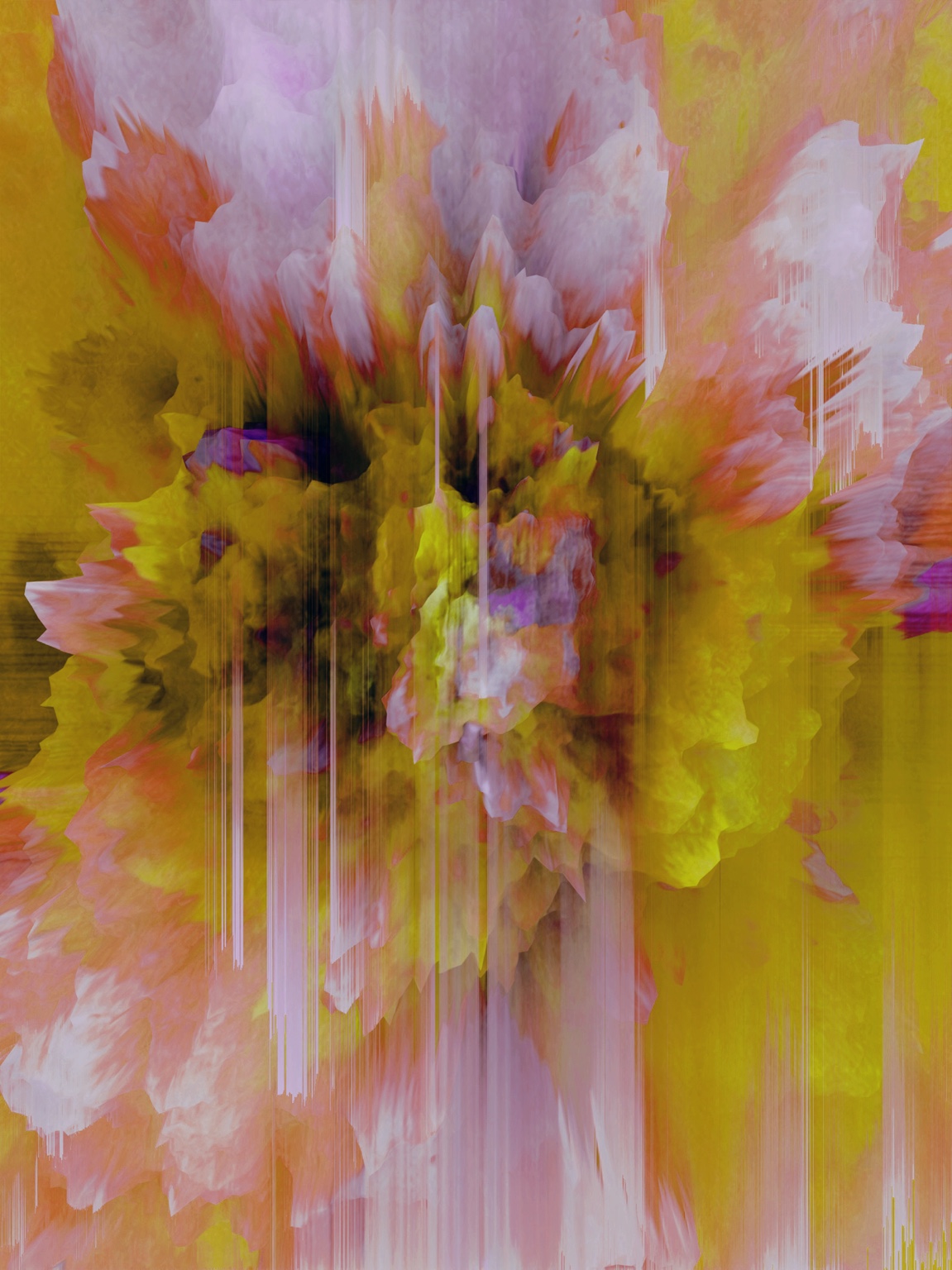Afterimage / Bloom XXXIII, digital artwork