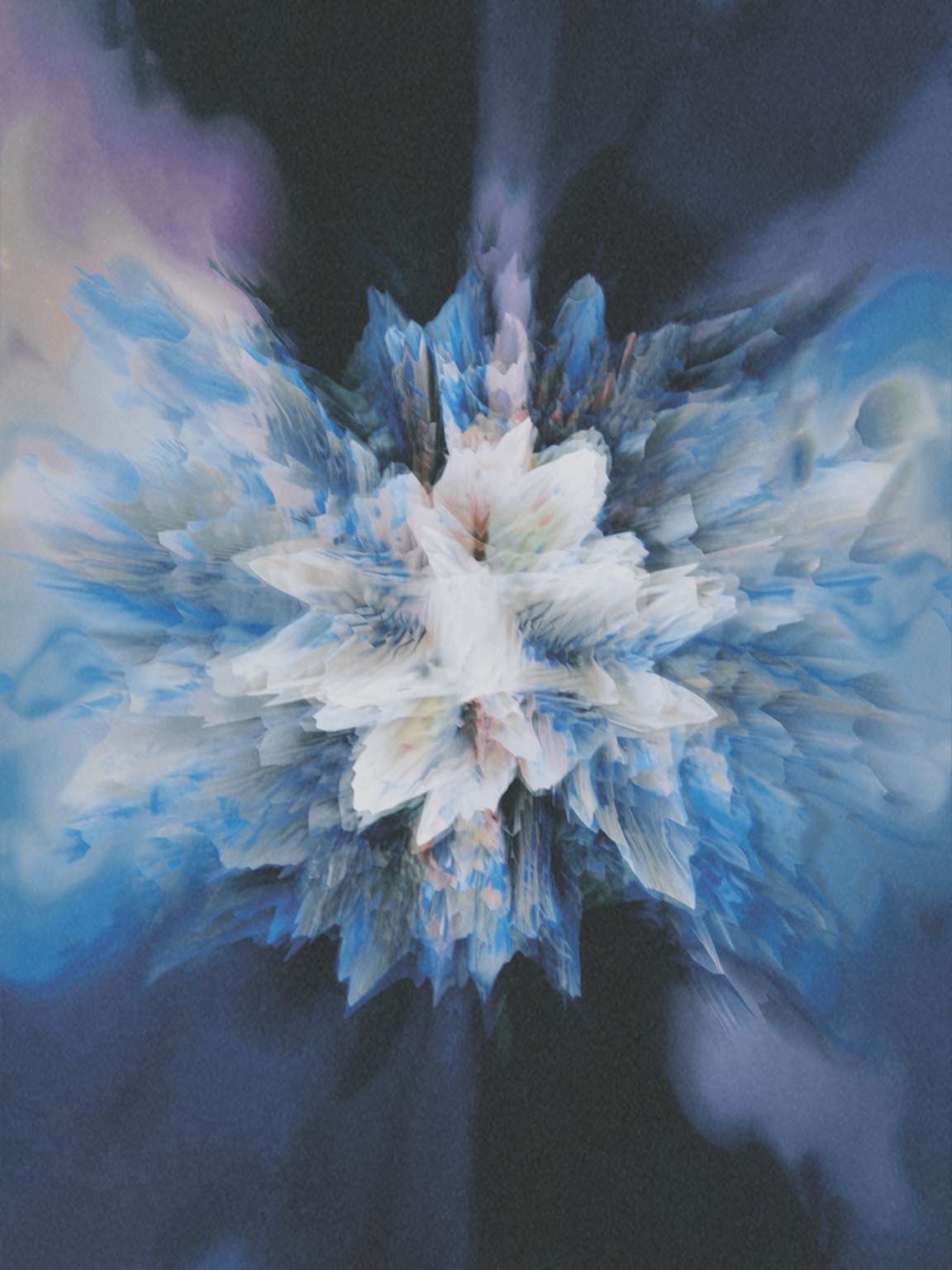 Afterimage / Bloom XXXIV, digital artwork