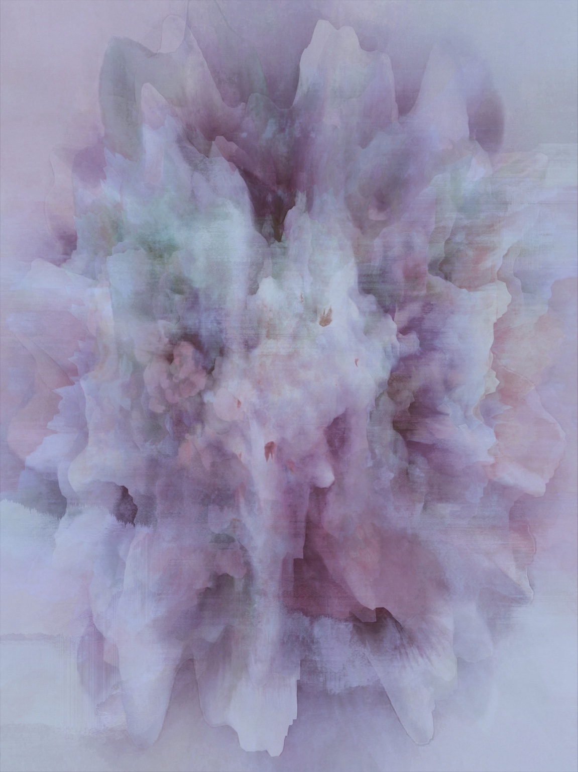 Afterimage / Bloom XXXV, digital artwork