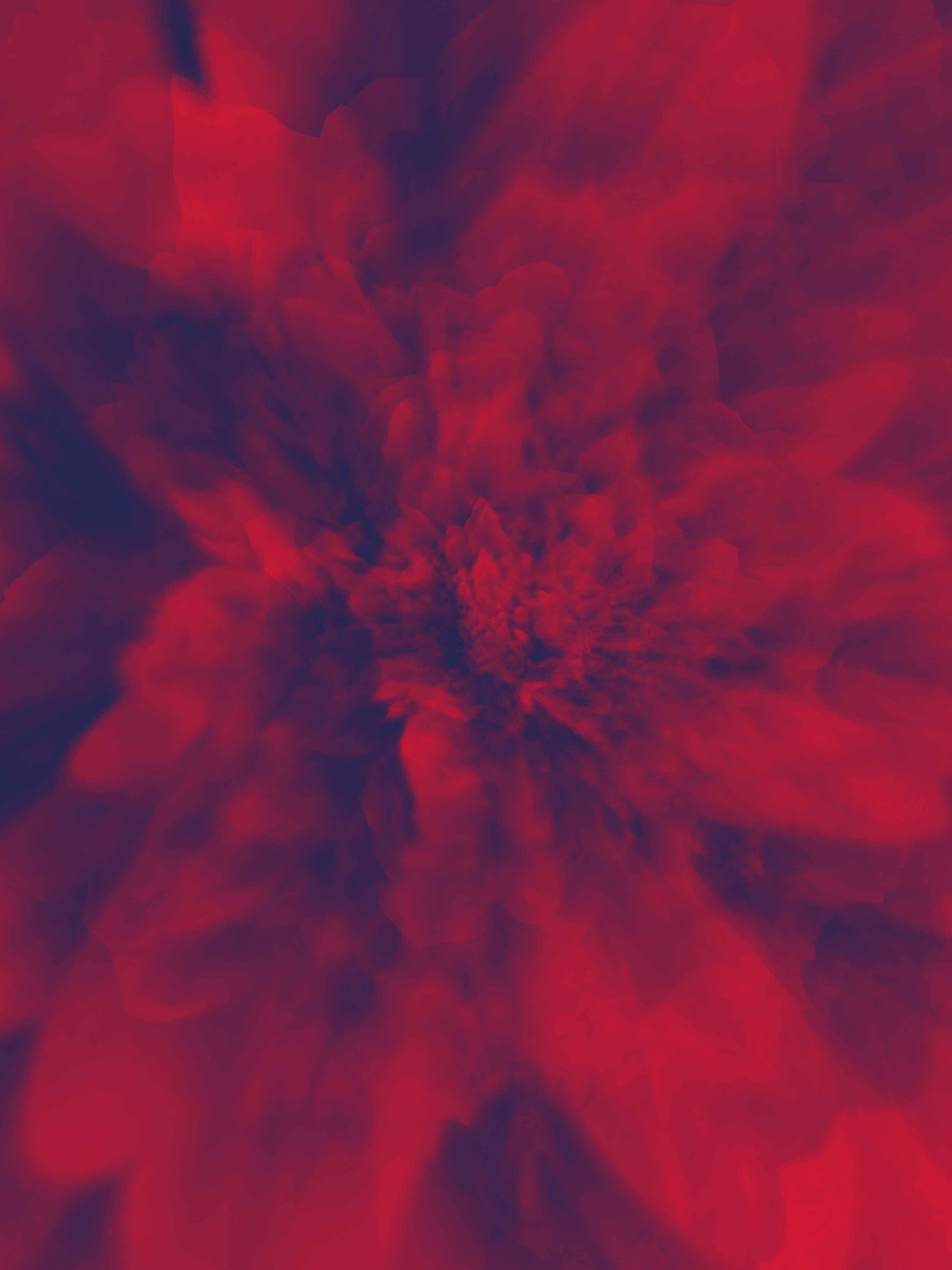 Afterimage / Bloom XXXVI, digital artwork