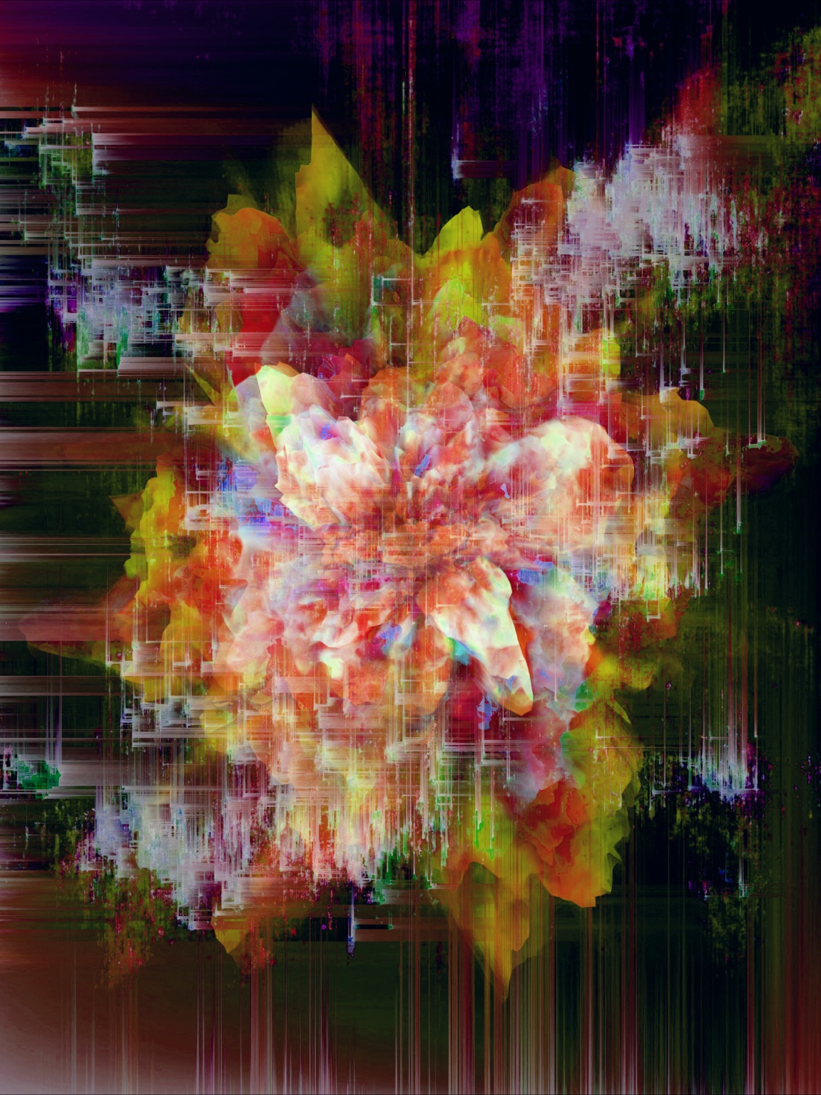 Afterimage / Bloom XXXVII, digital artwork