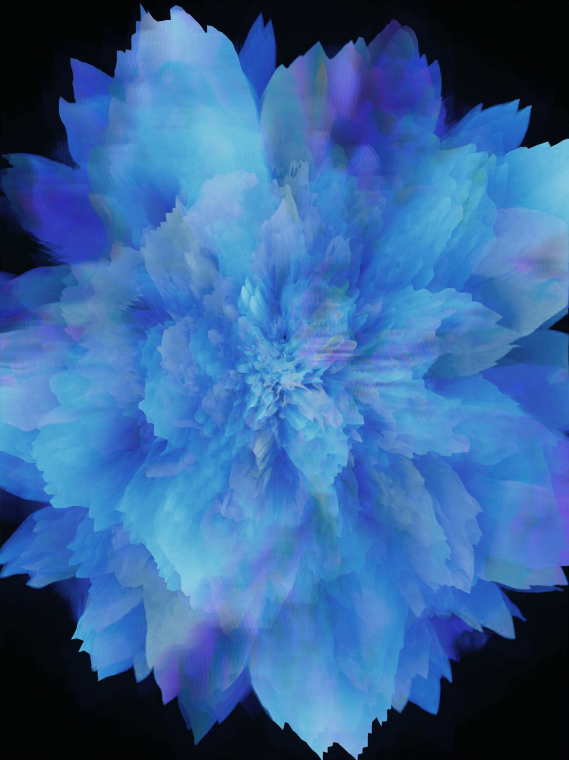 Afterimage / Bloom XXXVIII, digital artwork