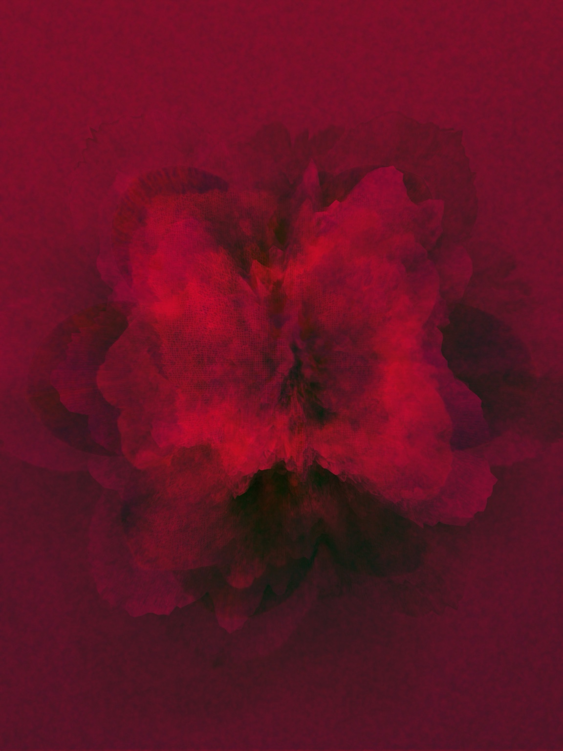 Afterimage / Bloom XL, digital artwork